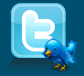 Seguir en Twitter